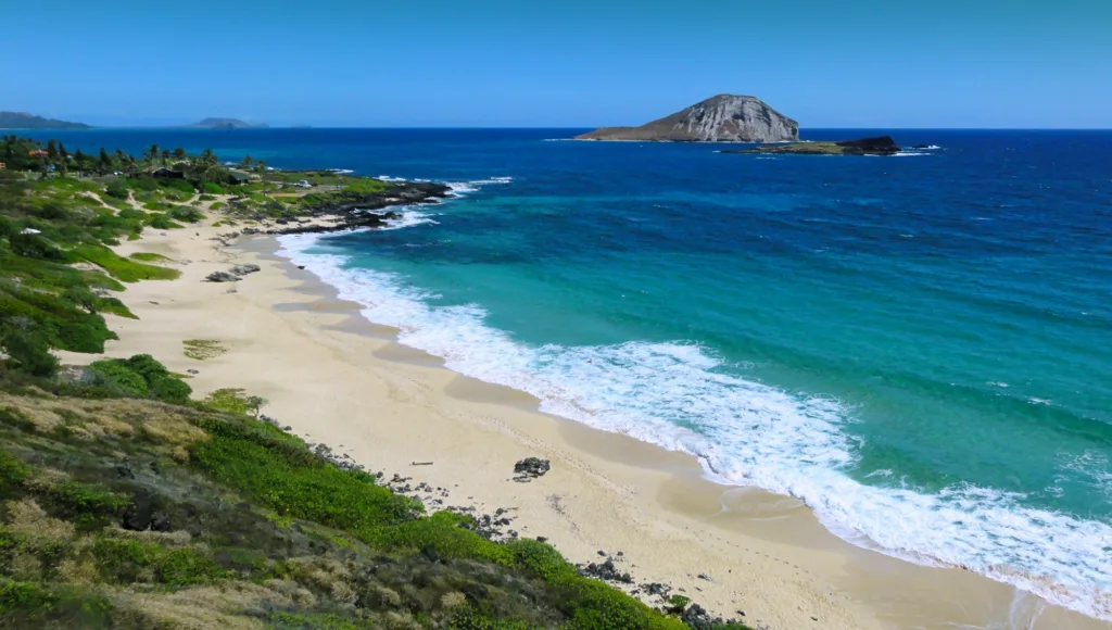 Half-day scenic tour along Oahu’s beautiful east coast