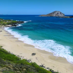 Half-day scenic tour along Oahu’s beautiful east coast