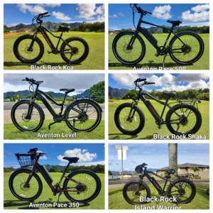 Delivery van arriving for island tour equipment drop-off