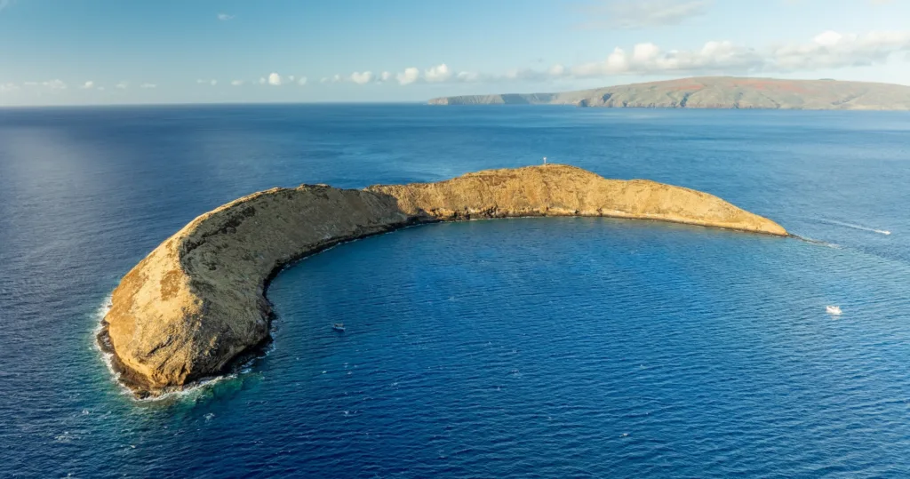Snorkelers exploring vibrant coral reefs at Molokini crater