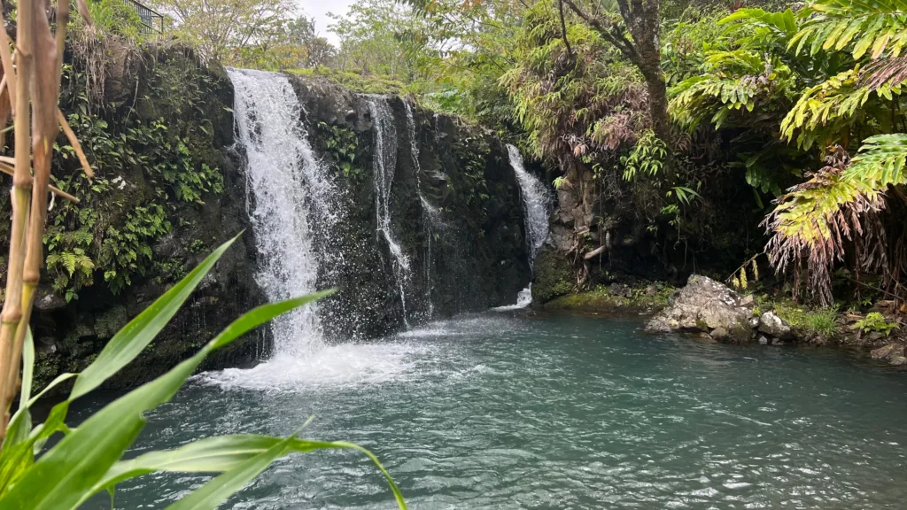 Epic Road to Hana adventure with convenient airport pickup