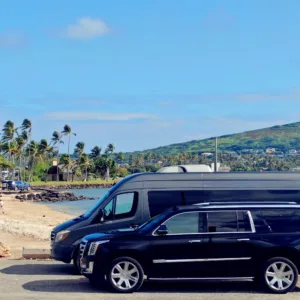 Special arrival rates for Asia Pacific travelers on island tours