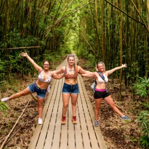 Hiking trail leading to Waimoku Falls through lush forest