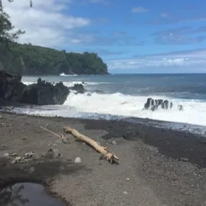 Group touring scenic Hamakua coast from Kona shore