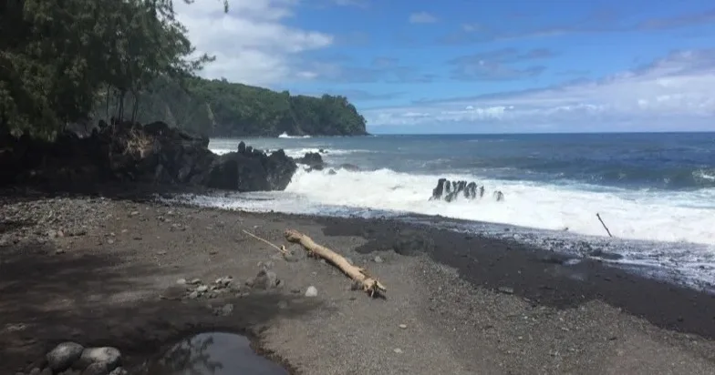 Group touring scenic Hamakua coast from Kona shore
