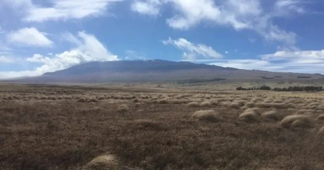 Private volcano tour exploring Big Island's volcanic regions