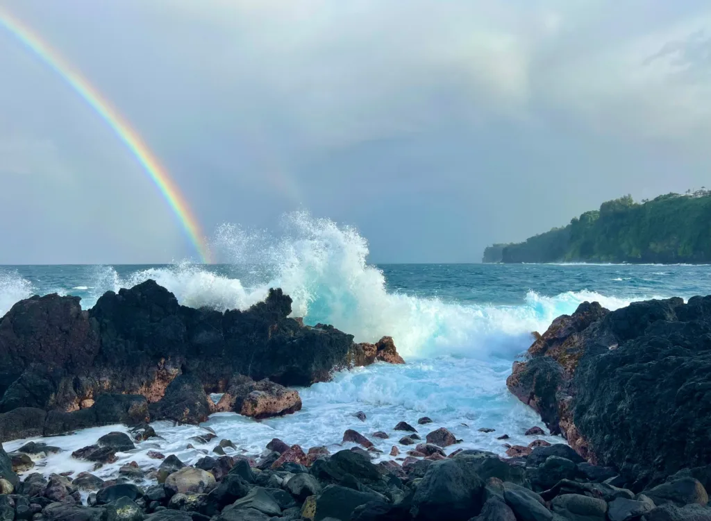 Adventurers choosing activities during Hilo custom tour