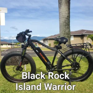 Ebike parked near scenic trail on Maui island tour