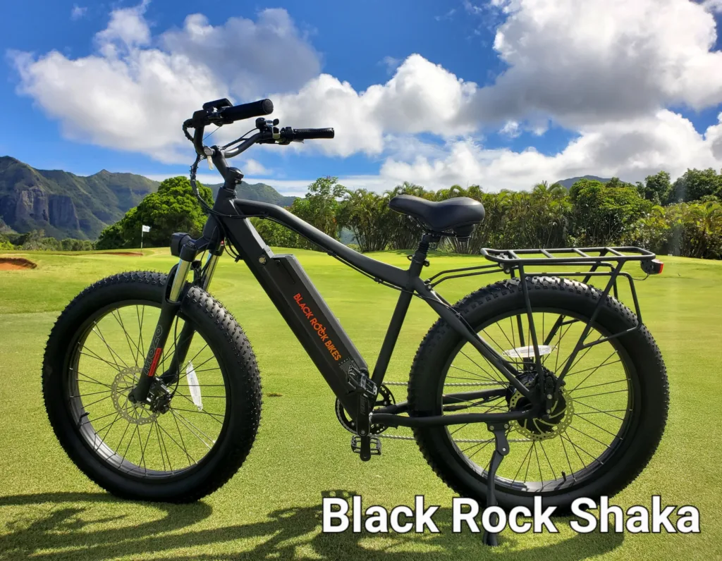 Four day ebike rental offering freedom to explore Maui