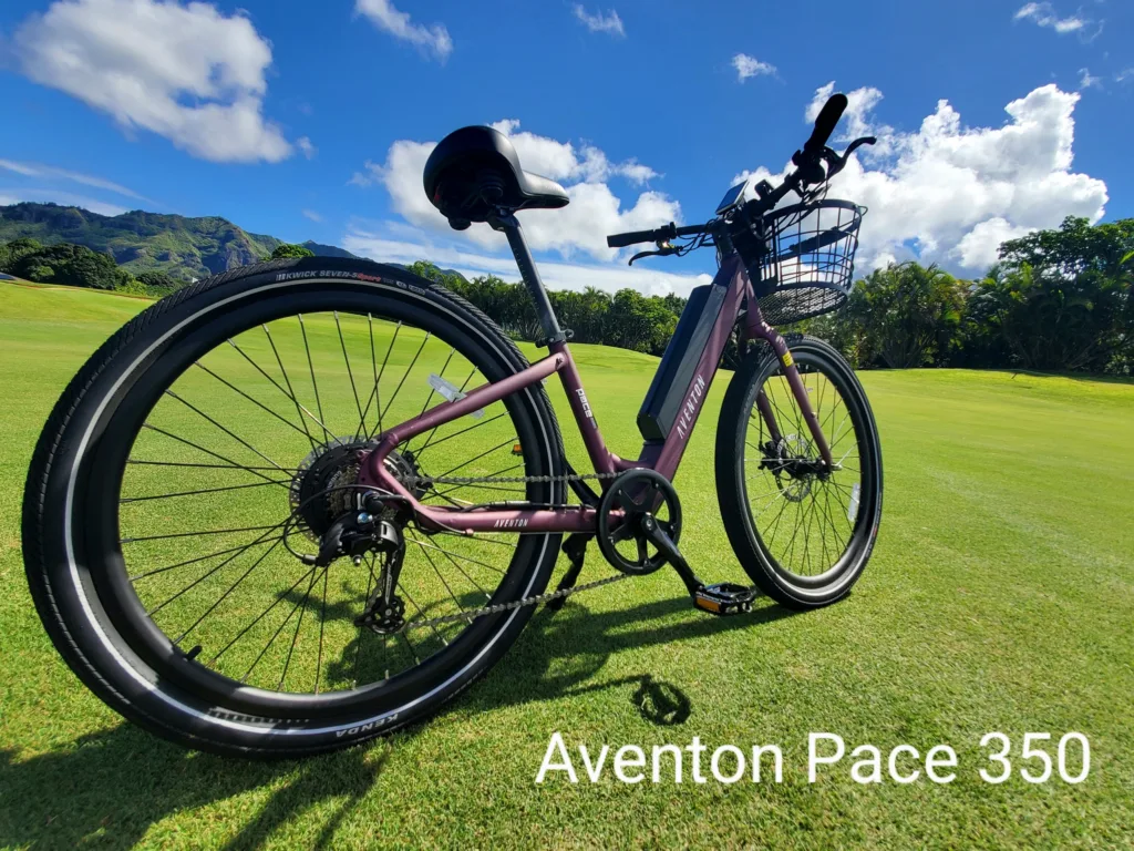 Five day ebike rental providing extended Maui island access