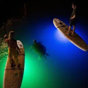 Island tour featuring vibrant neon night scenes