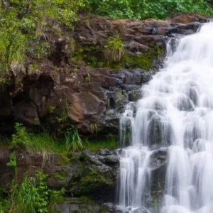 Scenic views of Byodo Temple on Oahu tour