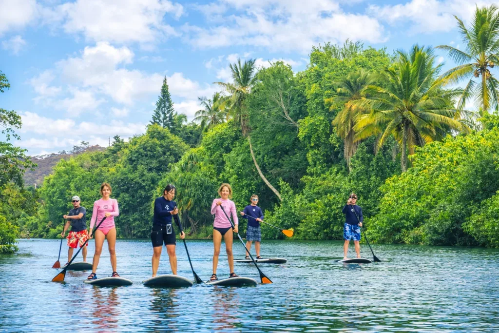 Paddlers on stand-up paddleboards near green sea turtles