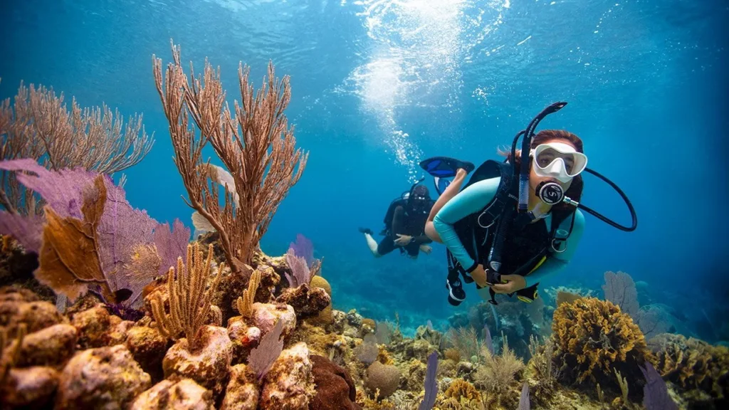 Diving the Oahu shipwreck with shallow reef exploration