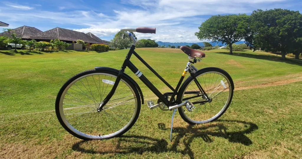 Three-day single-speed bike rental for island exploration