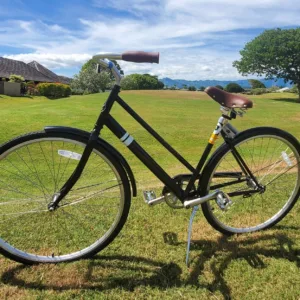 Three-day single-speed bike rental for island exploration