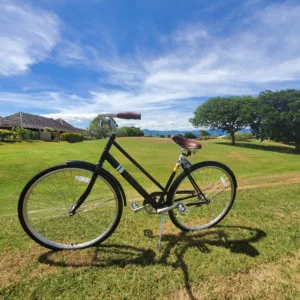 Five-day single-speed bike rental for island exploration