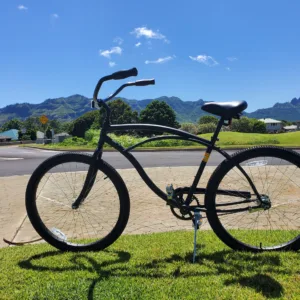 Eight-day single-speed bike rental for long island ride