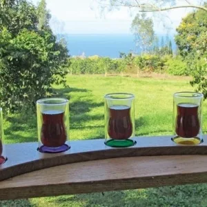 Guests enjoying a deluxe tasting of island flavors and drinks