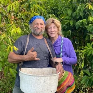 VIP guests receiving personalized guided tour experience