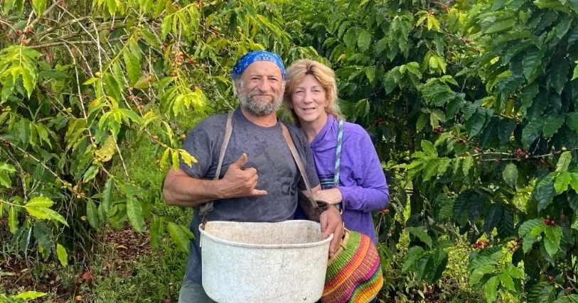 VIP guests receiving personalized guided tour experience