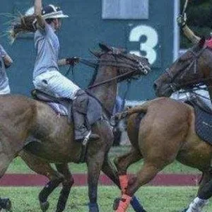 Scenic polo game on Oahu with island views