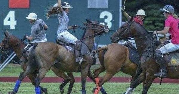 Scenic polo game on Oahu with island views