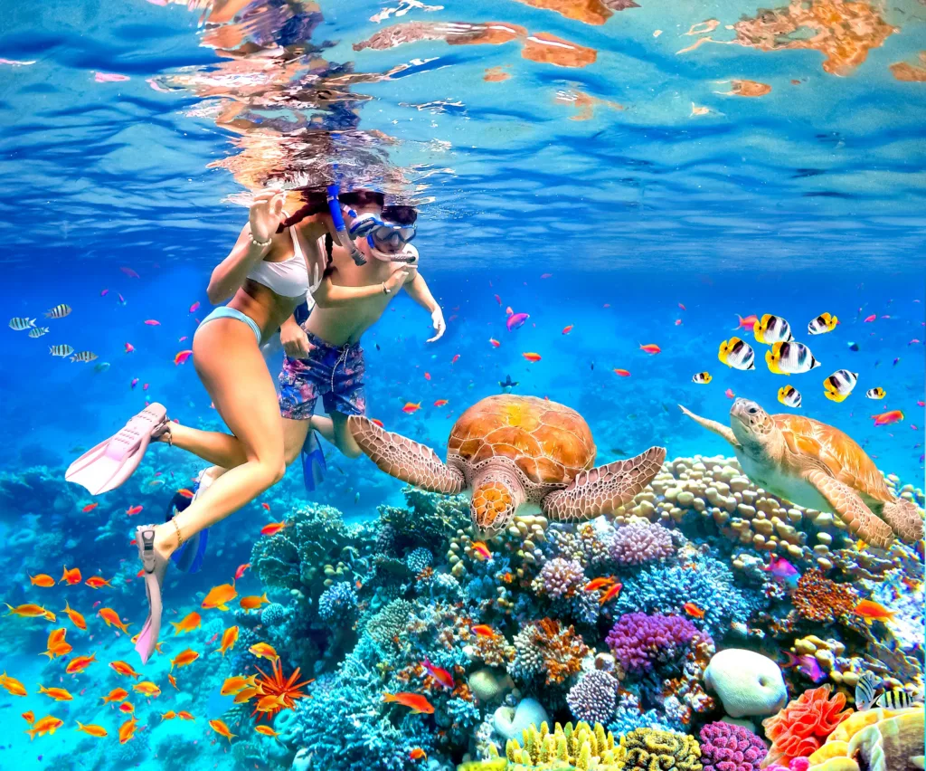 Snorkeling adventure exploring Waikiki’s Turtle Canyon marine life