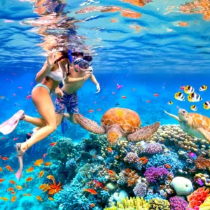 Snorkeling adventure exploring Waikiki’s Turtle Canyon marine life