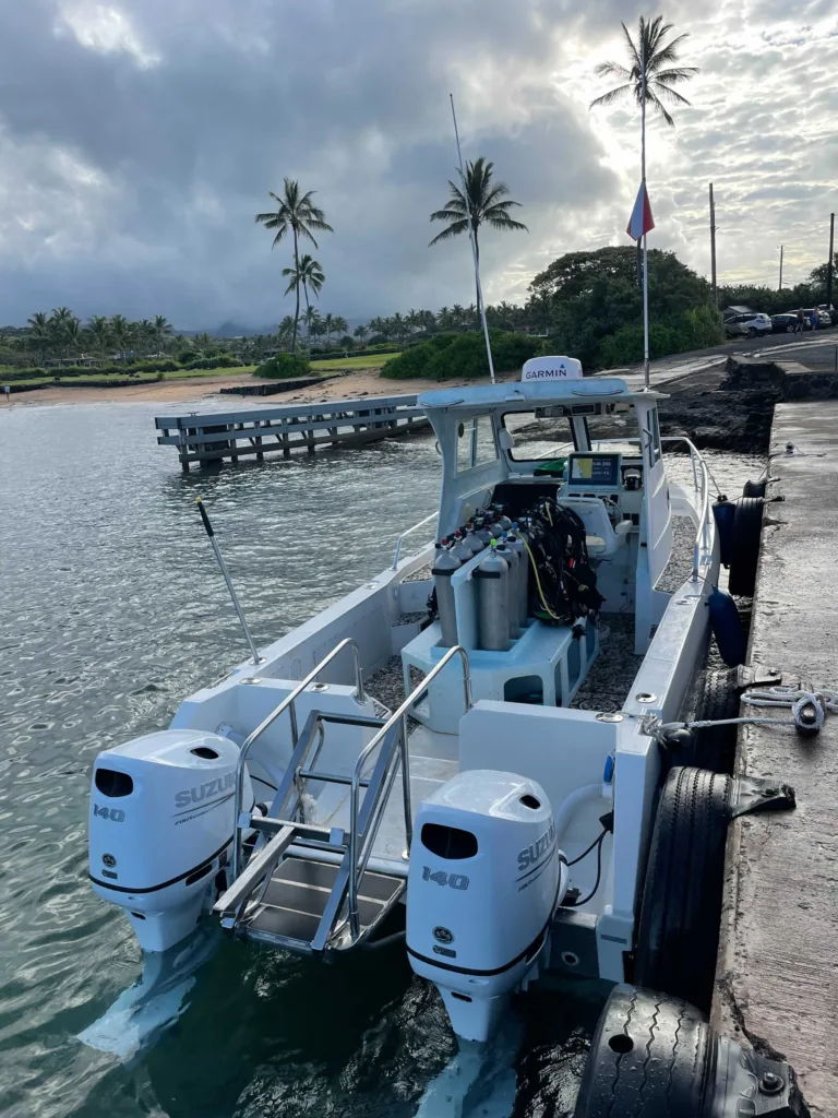 Scuba divers exploring underwater reefs on South Island Kauai