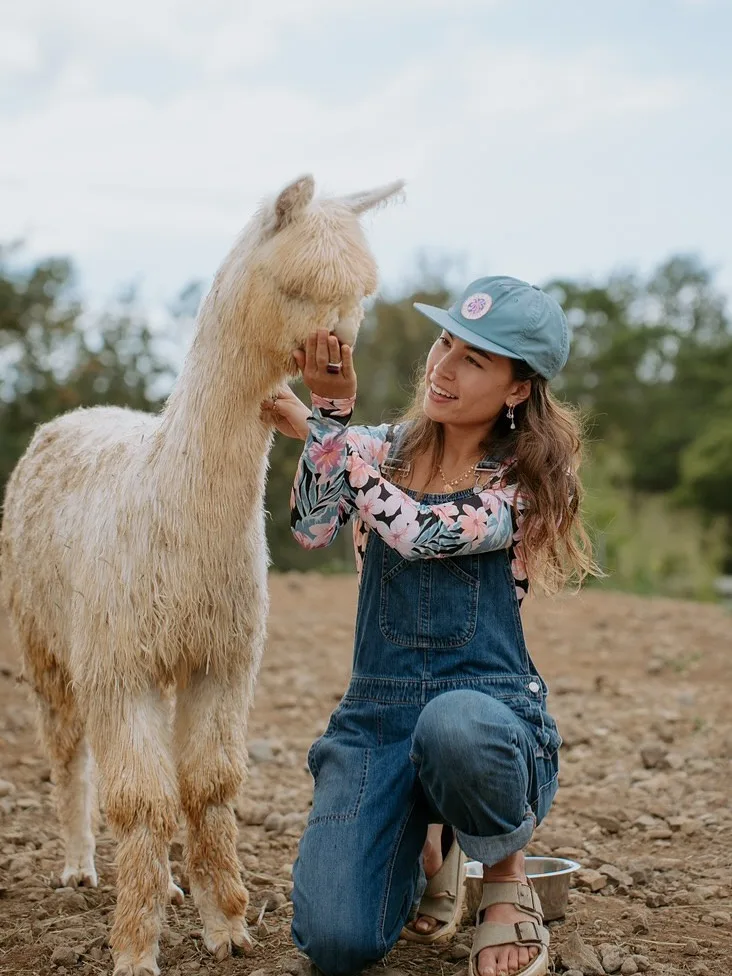 VIP alpaca picnic tour at Four Seasons resort
