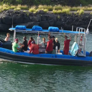 Snorkelers swimming among colorful fish near Kona coast