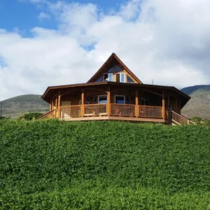 Tasting variety of herbal teas on Maui island tour