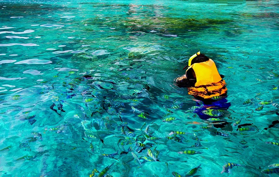 Weekly rental gear available for outdoor activities