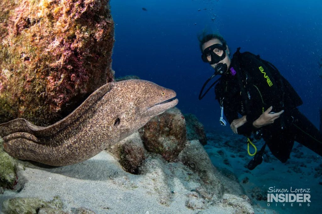 Scuba diver exploring underwater during PADI deep diver course
