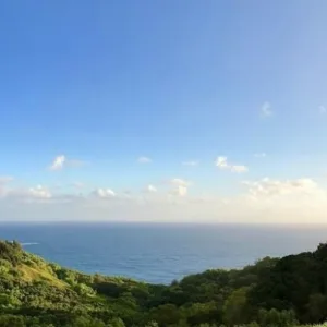 Private tour vehicle traveling Road to Hana landscapes