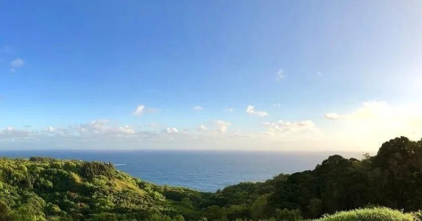 Private tour vehicle traveling Road to Hana landscapes