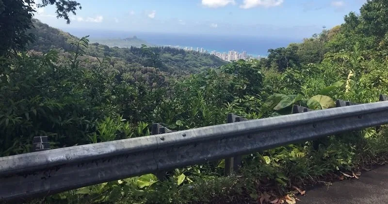 Scenic jungle hike through lush tropical forest trails