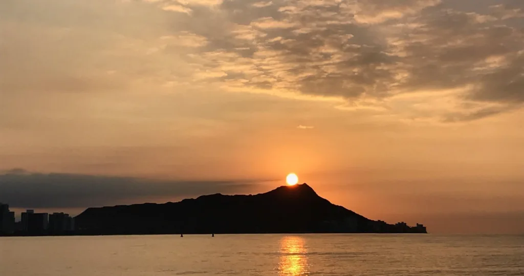 Early morning snorkel with sea turtles in clear waters