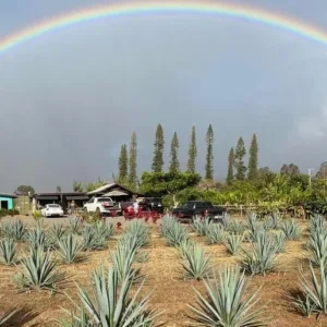 Visitors enjoying a guided farm and distillery tour