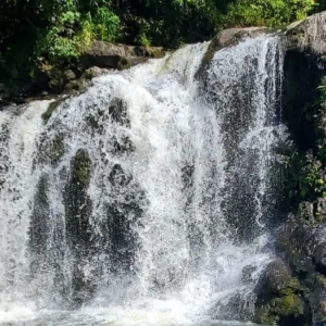 Hikers preparing to plunge into waterfall pool mid hike