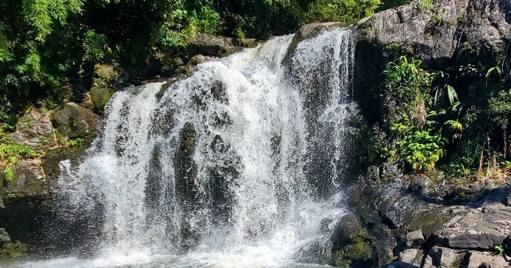 Hikers preparing to plunge into waterfall pool mid hike