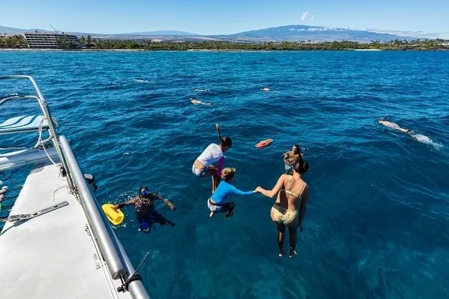 Snorkelers observing whales from power catamaran vessel