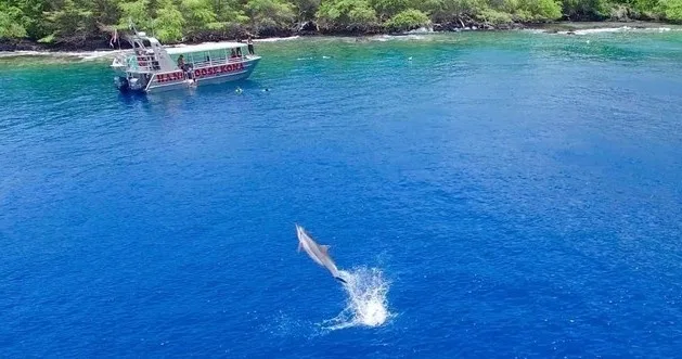 Private snorkeling charter along scenic island coast