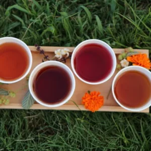 Guests tasting herbal teas and fresh fruit on Maui tour