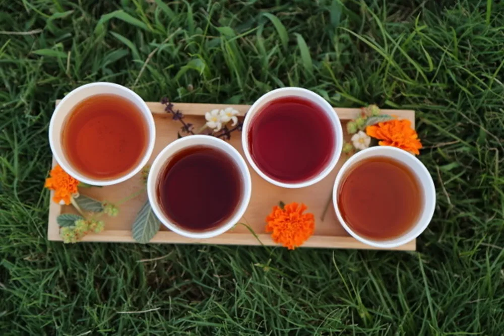 Guests tasting herbal teas and fresh fruit on Maui tour