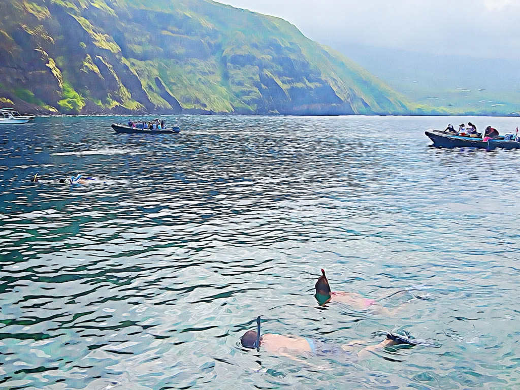 Private snorkeling charter departing from Keauhou Bay