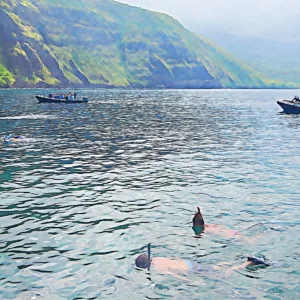Private snorkeling charter departing from Keauhou Bay