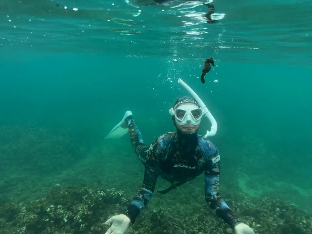 Snorkelers exploring colorful coral reefs in clear ocean water
