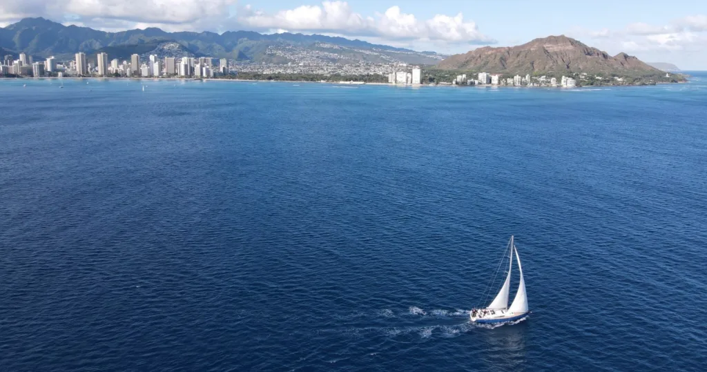 Private charter boat cruising near whale watching area